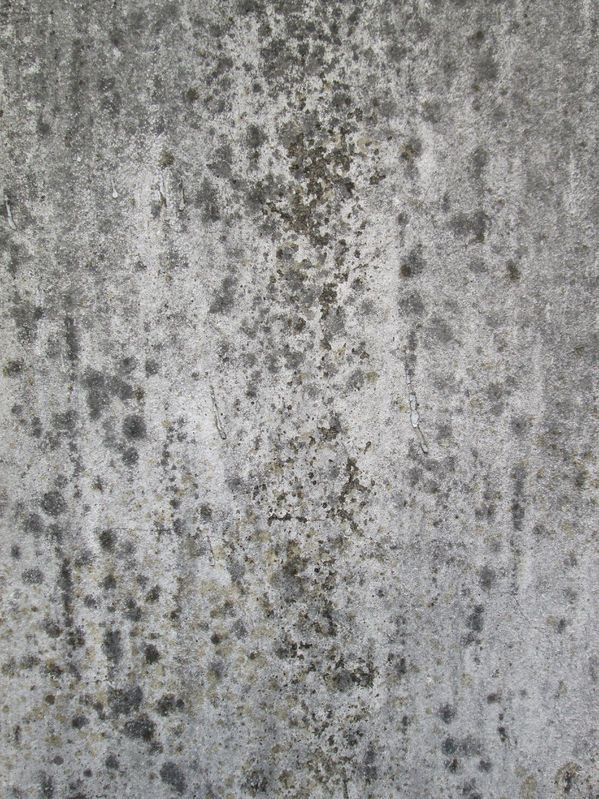 A salétromos fal veszélyei. www.bonasi.hu