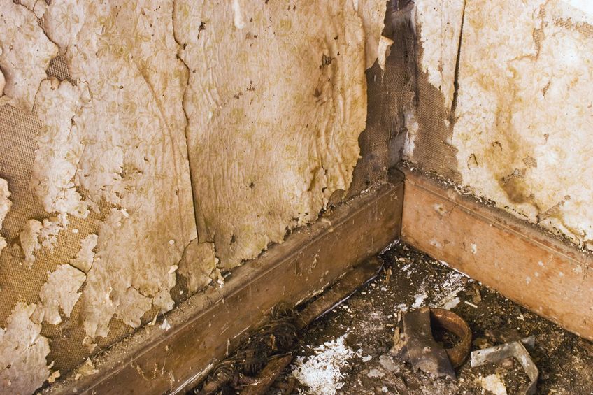 Salétromos fal. Az acéllemezes beültetéses egyszerű és hatékony.